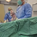 a016e66a-dd2a-4653-8766-fe371d1acb28